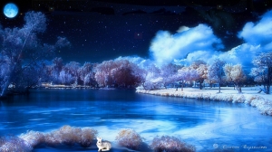 Starry Winter S Night Art Digital Stars Wallpaper Winter