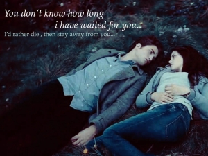 Twilight New Moon Stand Ups And Poster Buy A