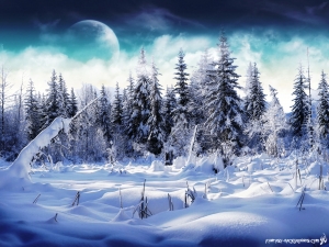 Winter Wonderland Background Fantasy Pla S Images 6295