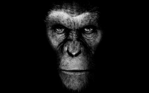 Pla Of The Apes