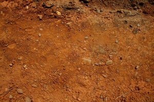 Red Ground Photo And Wallpaper Free Use