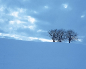 Snow Wallpapers Free Desktop On The Wallpaper Work